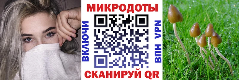 купить   Ростов-на-Дону  Галлюциногенные грибы мицелий 
