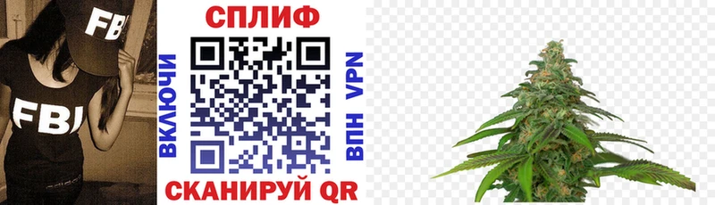 где купить наркотик  Ростов-на-Дону  Конопля тримм 